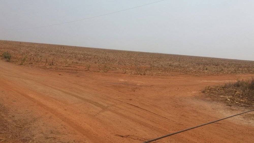 Fazenda, 57000 hectares - Foto 8