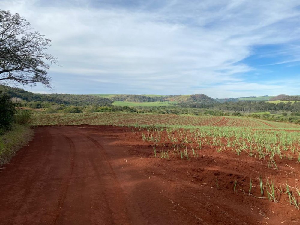 Fazenda, 174 hectares - Foto 8