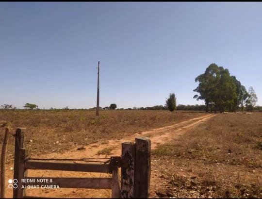 Fazenda, 21 hectares - Foto 2