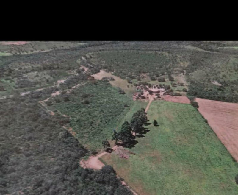 Fazenda, 21 hectares - Foto 3