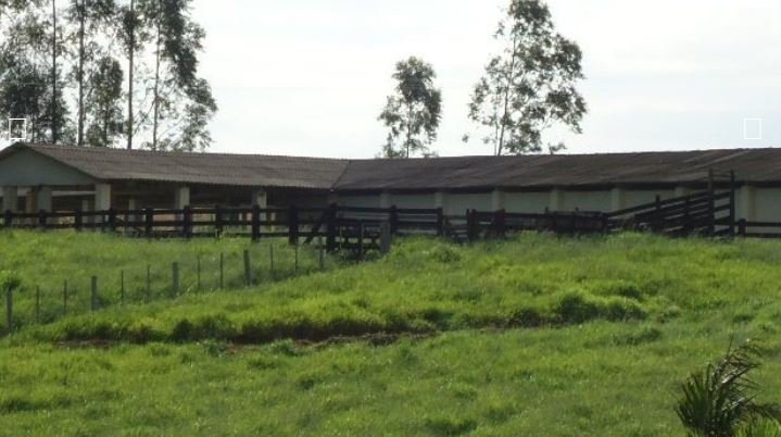 Fazenda, 215 hectares - Foto 25