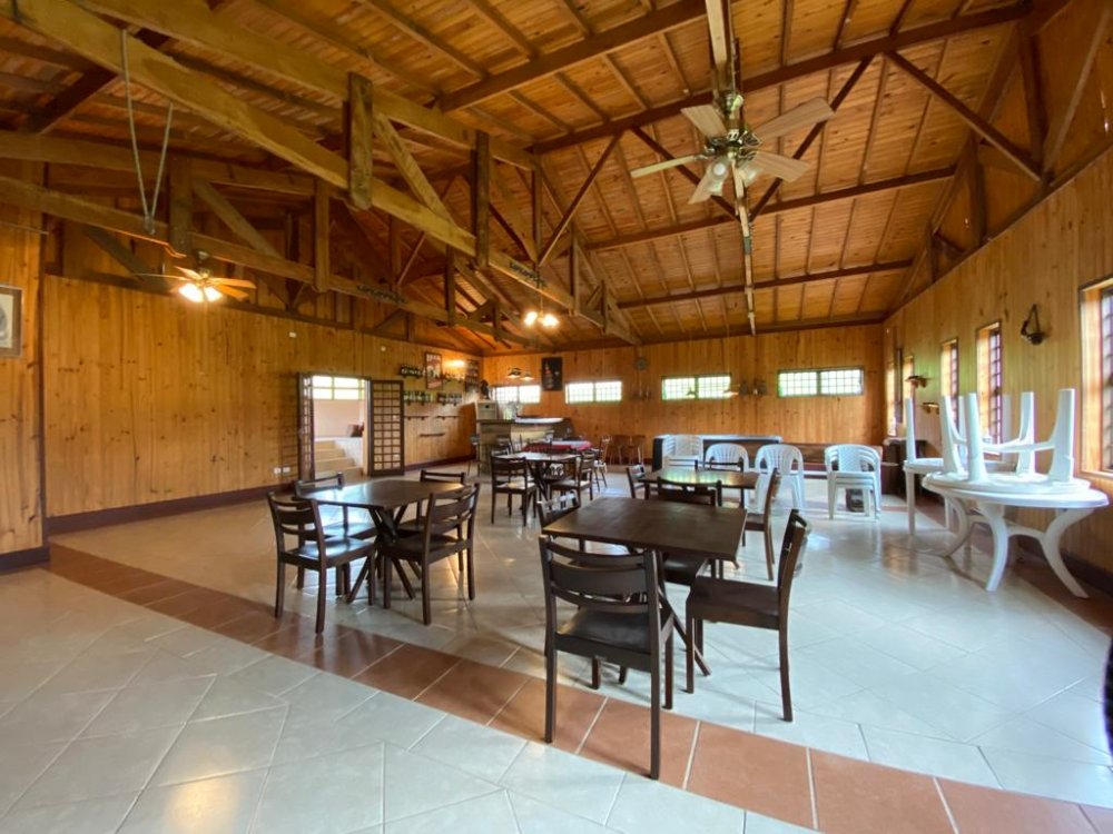 Sítio, 5 hectares - Foto 35