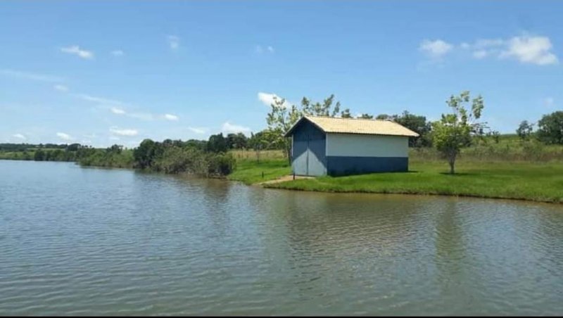 Fazenda, 1467 hectares - Foto 10