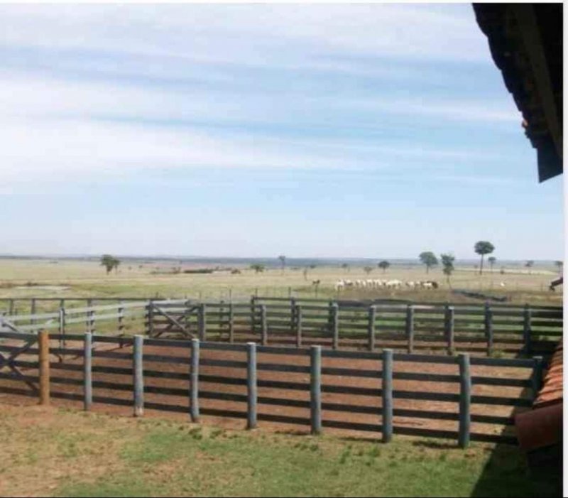 Fazenda, 1467 hectares - Foto 3