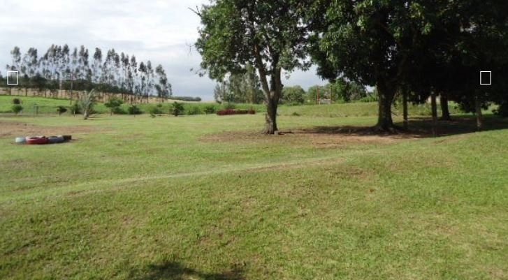 Fazenda, 215 hectares - Foto 19