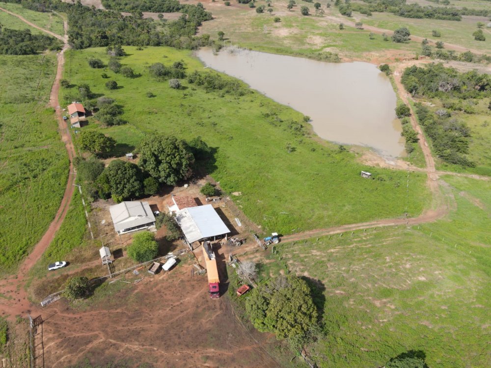 Fazenda, 1033 hectares - Foto 7