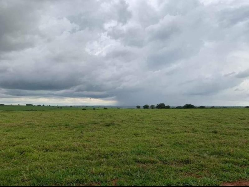 Fazenda, 1467 hectares - Foto 8