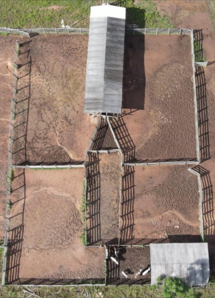 Fazenda, 1033 hectares - Foto 3