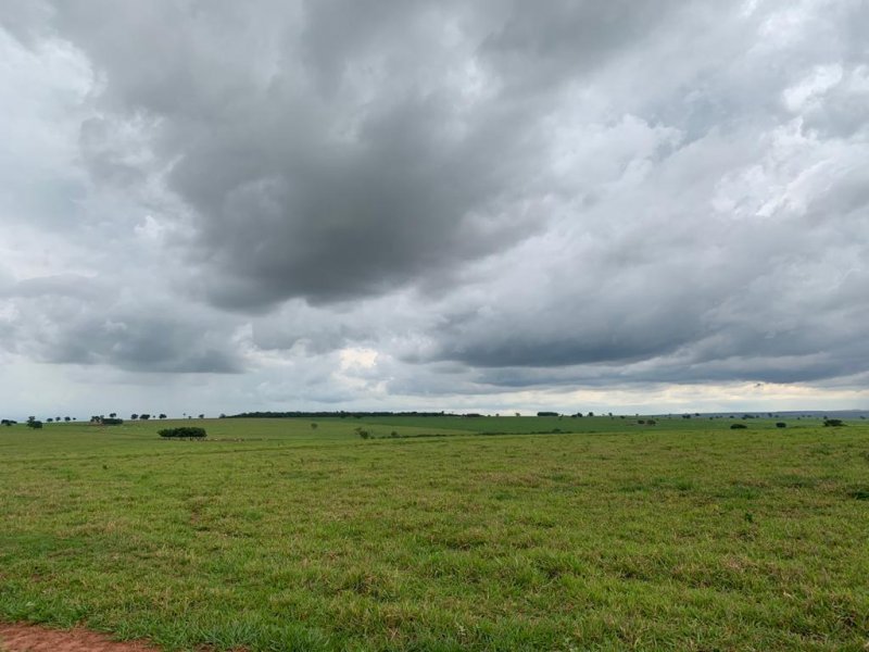 Fazenda, 1467 hectares - Foto 14