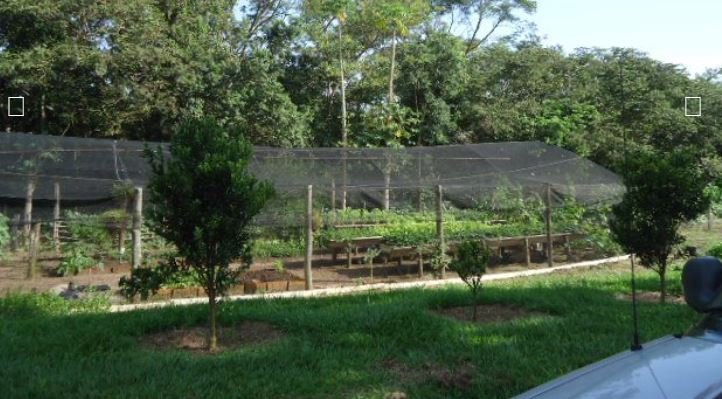 Fazenda, 215 hectares - Foto 8