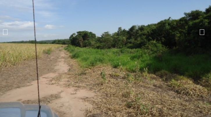 Fazenda, 215 hectares - Foto 18