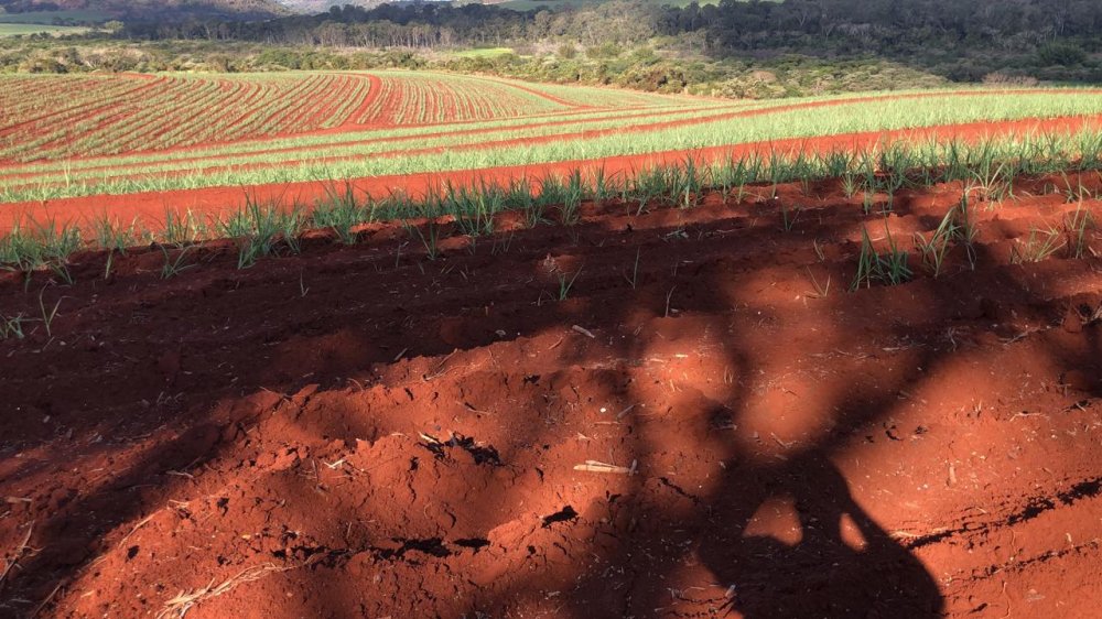 Fazenda, 174 hectares - Foto 7