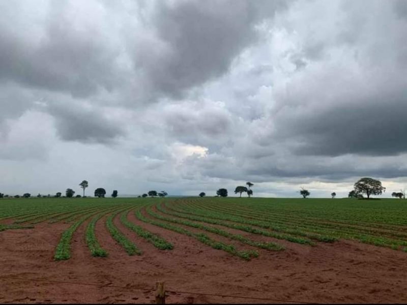 Fazenda, 1467 hectares - Foto 5