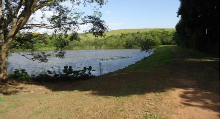 Fazenda, 215 hectares - Foto 3