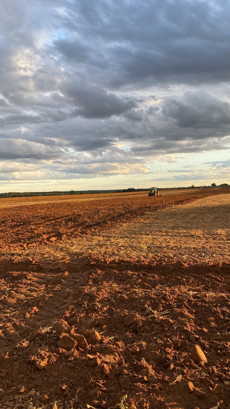 Fazenda, 1580 hectares - Foto 5