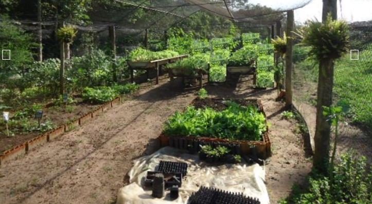 Fazenda, 215 hectares - Foto 11