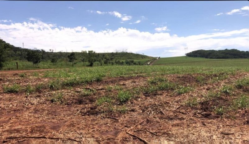 Fazenda, 458 hectares - Foto 2