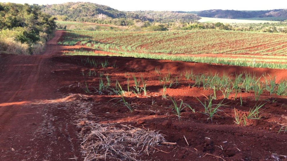Fazenda, 174 hectares - Foto 3