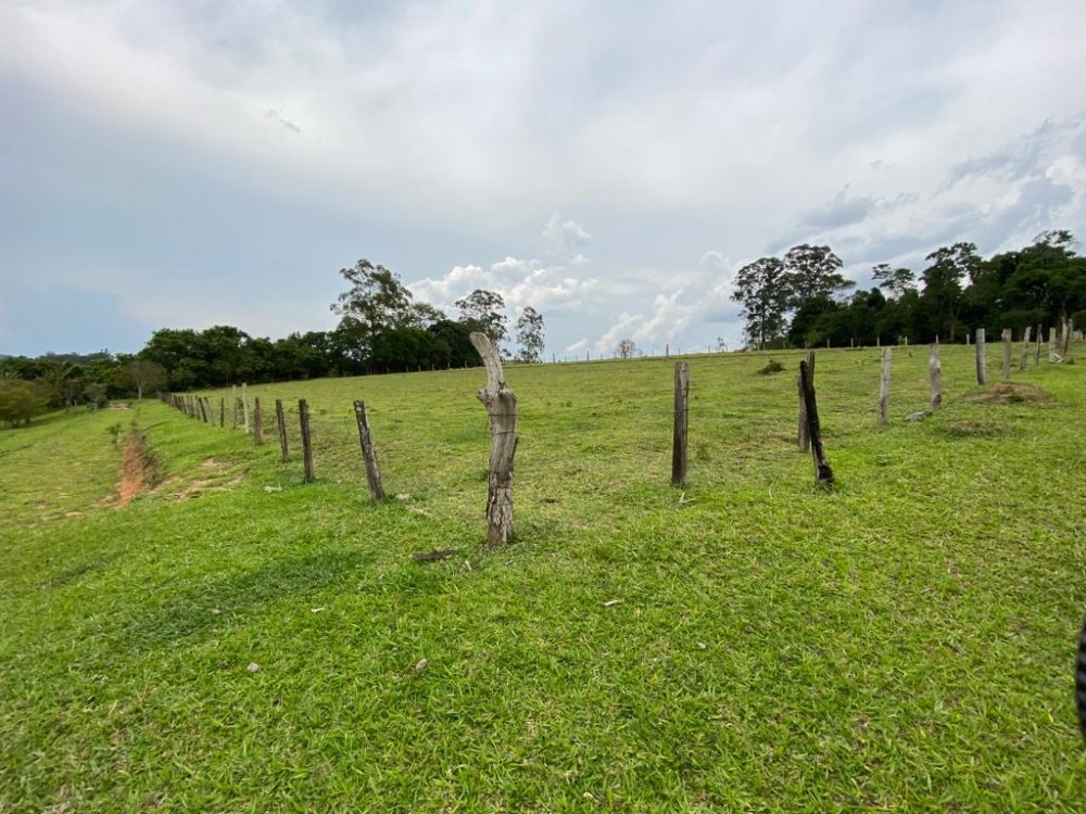 Sítio, 5 hectares - Foto 21