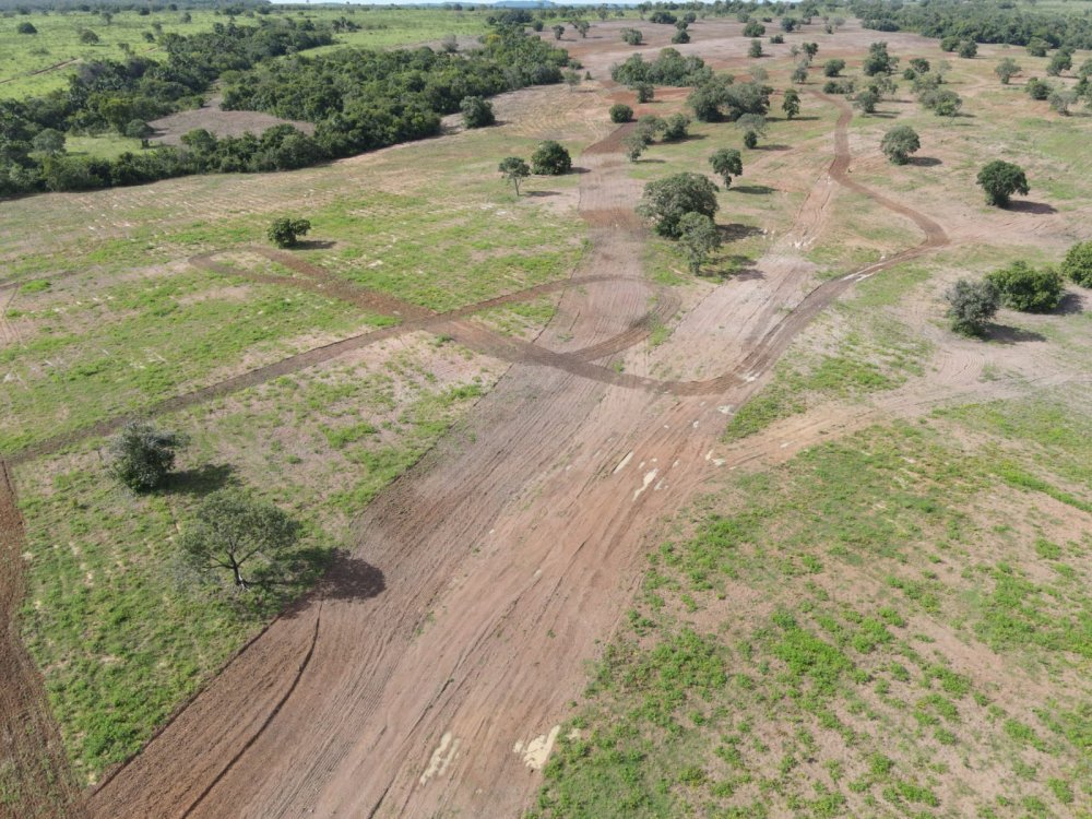 Fazenda, 1033 hectares - Foto 4