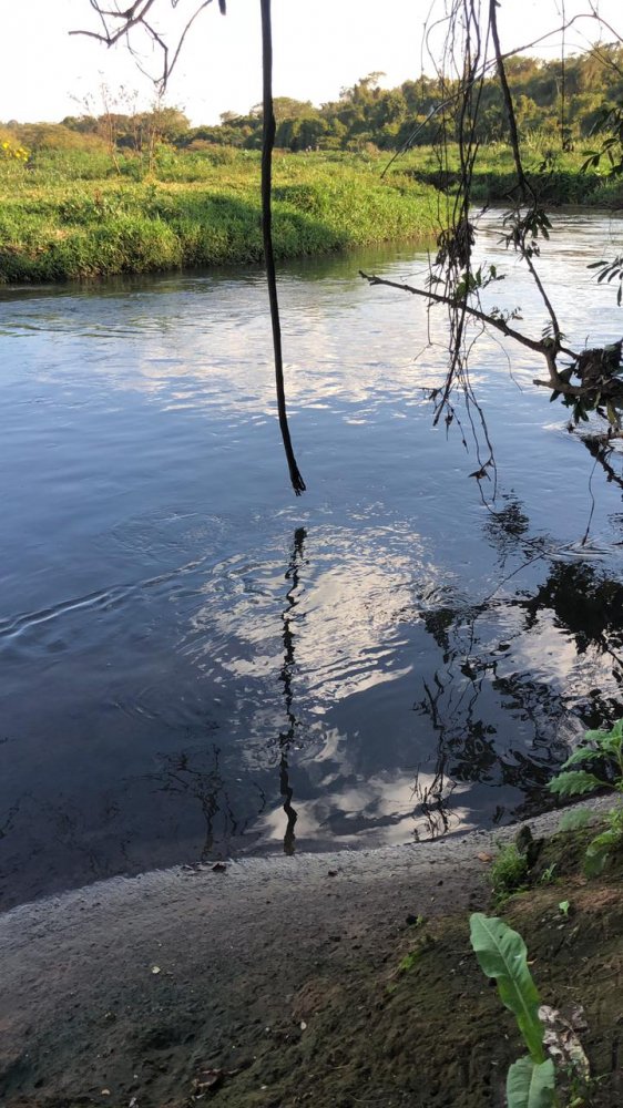 Fazenda, 174 hectares - Foto 4