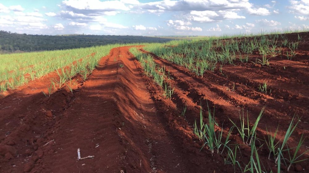Fazenda, 174 hectares - Foto 10