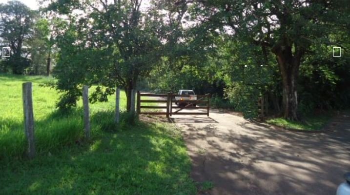 Fazenda, 215 hectares - Foto 15