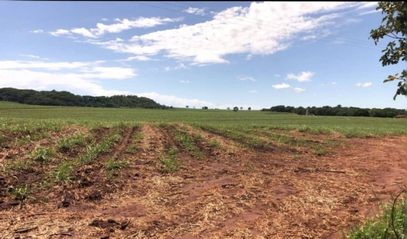 Fazenda, 458 hectares - Foto 3