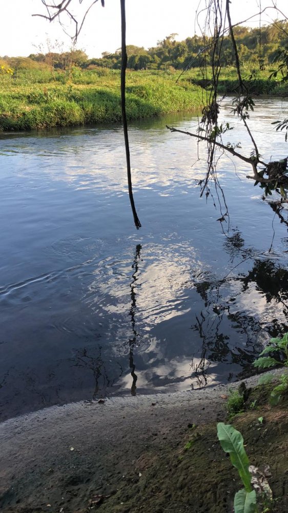 Fazenda, 174 hectares - Foto 9