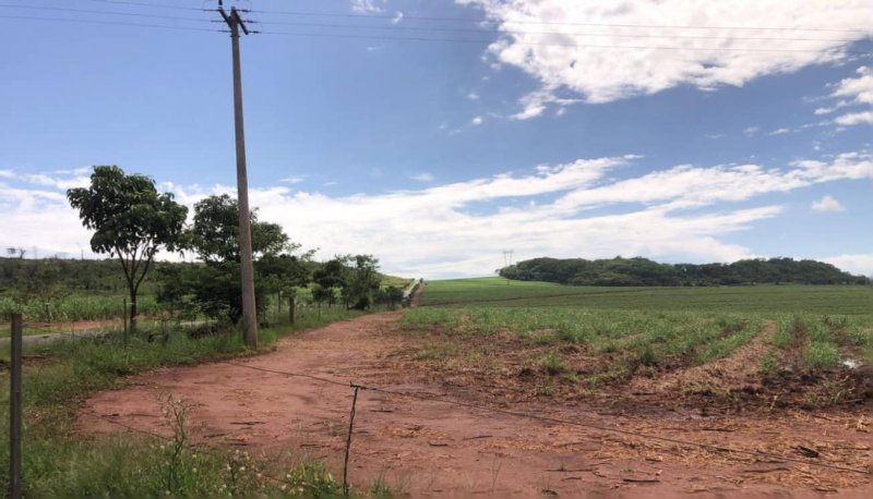 Fazenda, 458 hectares - Foto 4