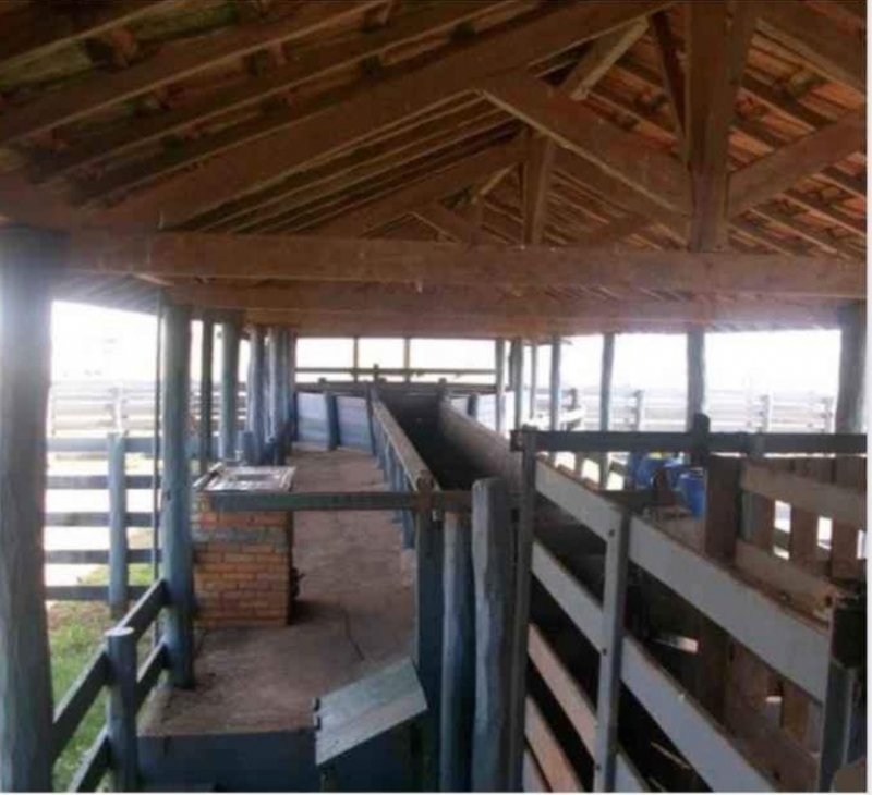 Fazenda, 1467 hectares - Foto 7