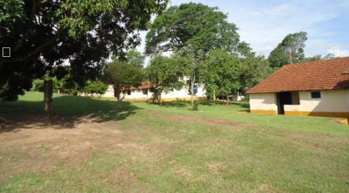 Fazenda, 215 hectares - Foto 20