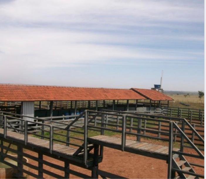 Fazenda, 1467 hectares - Foto 13