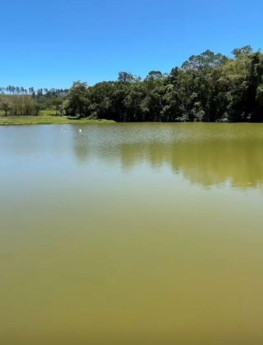 Imagem 4
