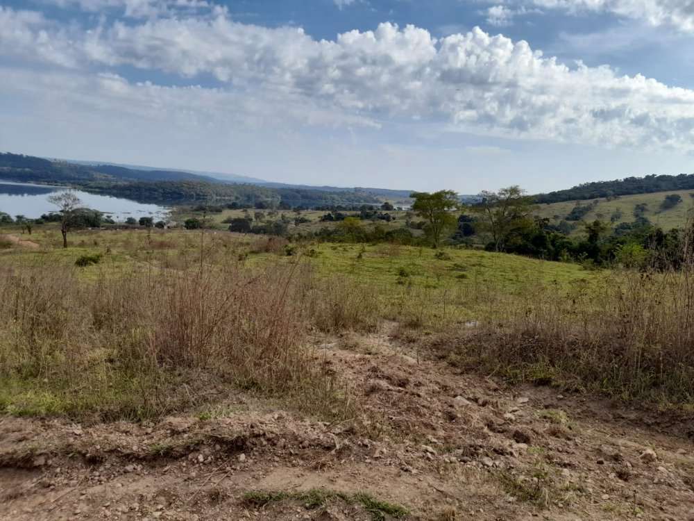 Fazenda - Venda - Área Rural de Araguari - Araguari - MG