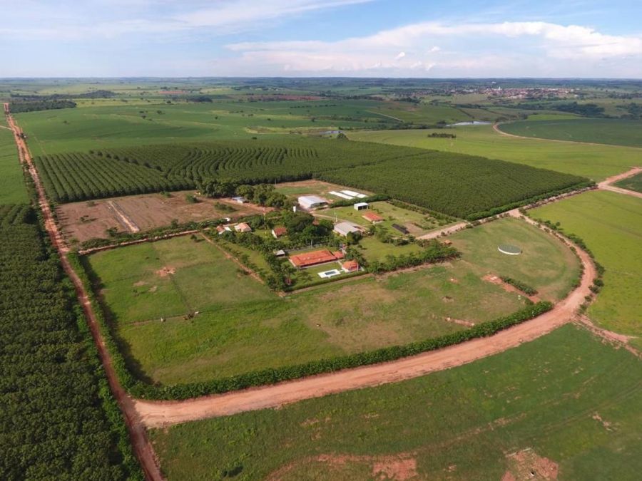 Fazenda - Venda - Centro - Luizi�nia - SP