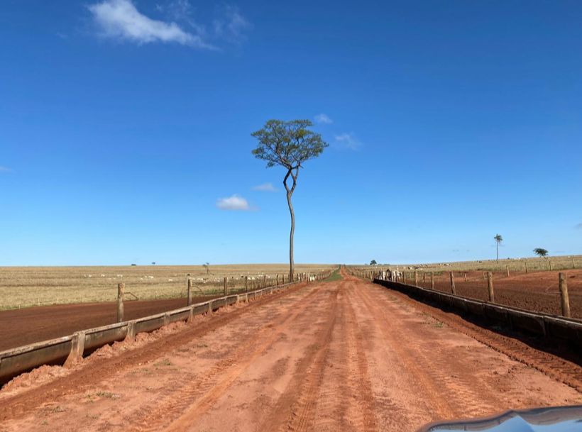 Fazenda - Venda - Centro - Presidente Venceslau - SP