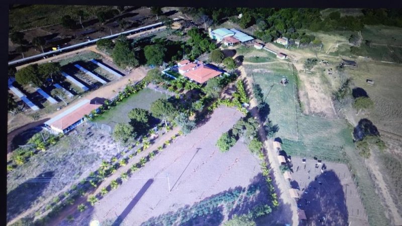 Fazenda - Venda - Olhos D'água do Oeste - João Pinheiro - MG