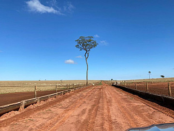 Fazenda � Venda